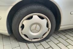 <p><br></p>