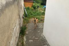 <p><br></p>