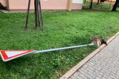 <p><br></p>