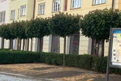 <p><br></p>