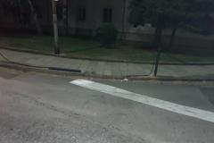 <p><br></p>