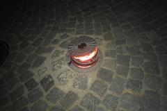 <p><br></p>