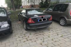 <p><br></p>