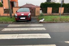 <p><br></p>