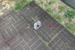 <p><br></p>