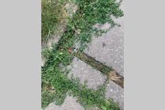 <p><br></p>