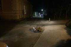 <p><br></p>