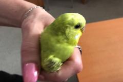 <p><br></p>