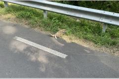 <p><br></p>