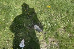 <p><br></p>