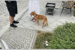 <p><br></p>