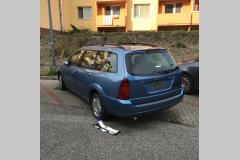 <p><br></p>