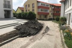 <p><br></p>