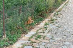 <p><br></p>