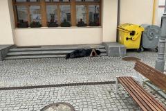 <p><br></p>