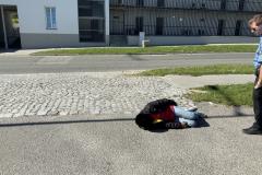 <p><br></p>