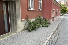 <p><br></p>