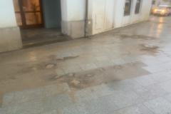 <p><br></p>