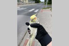 <p><br></p>