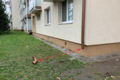<p><br></p>