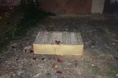 <p><br></p>