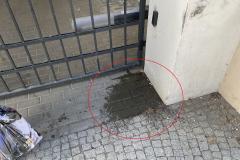 <p><br></p>
