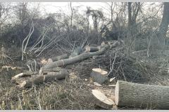<p><br></p>