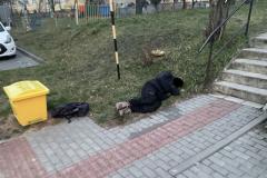 <p><br></p>