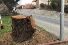 <p><br></p>