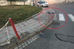 <p><br></p>