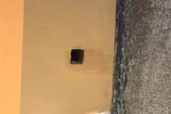 <p><br></p>