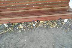 <p><br></p>