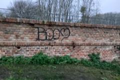 <p><br></p>