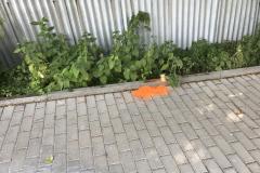 <p><br></p>