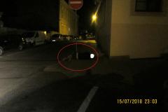 <p><br></p>