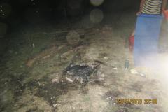 <p><br></p>