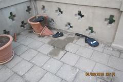 <p><br></p>