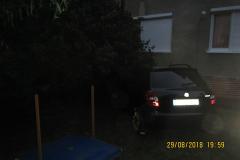 <p><br></p>