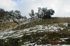 <p><br></p>